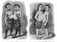 An illustration from Scientific American, Vol. 81, No. 17 (1899) (1899)