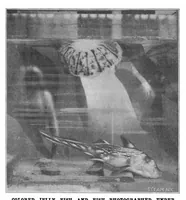 Picture 10 of 17 from Scientific American, Vol. 81, No. 23 (1899) (1899), leaf 9