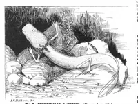 Picture 11 of 20 from Scientific American, Vol. 82, No. 7 (1900) (1900), leaf 10