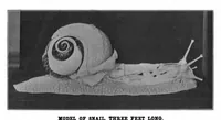 Picture 10 of 17 from Scientific American, Vol. 82, No. 19 (1900) (1900), leaf 8