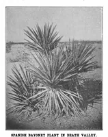 An illustration from Scientific American, Vol. 82, No. 20 (1900) (1900)