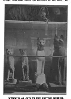 Picture 14 of 22 from Scientific American, Vol. 82, No. 23 (1900) (1900), leaf 8