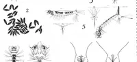 Picture 8 of 24 from Scientific American, Vol. 83, No. 1 (1900) (1900), leaf 5