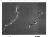 Picture 7 of 20 from Scientific American, Vol. 83, No. 4 (1900) (1900), leaf 4