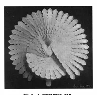 Picture 11 of 16 from Scientific American, Vol. 83, No. 15 (1900) (1900), leaf 8