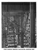 An illustration from Scientific American, Vol. 83, No. 16 (1900) (1900)