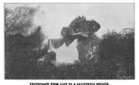 Picture 14 of 27 from Scientific American, Vol. 83, No. 26 (1900) (1900), leaf 10