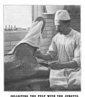 Picture 10 of 19 from Scientific American, Vol. 84, No. 3 (January 19, 1901) (1901), leaf 8