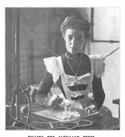 An illustration from Scientific American, Vol. 84, No. 3 (January 19, 1901) (1901)