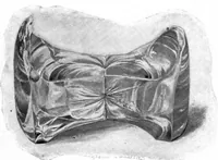 Picture 2 of 16 from Scientific American, Vol. 84, No. 6 (1901) (1901), leaf 3