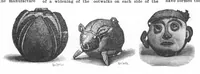 Picture 7 of 16 from Scientific American, Vol. 84, No. 6 (1901) (1901), leaf 7