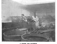 Picture 3 of 19 from Scientific American, Vol. 84, No. 11 (1901) (1901), leaf 3
