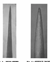 Picture 12 of 21 from Scientific American, Vol. 84, No. 21 (1901) (1901), leaf 8