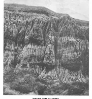 Picture 7 of 16 from Scientific American, Vol. 85, No. 1 (1901) (1901), leaf 7