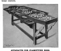 Picture 9 of 24 from Scientific American, Vol. 85, No. 6 (1901) (1901), leaf 7