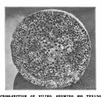 Picture 11 of 21 from Scientific American, Vol. 85, No. 20 (1901) (1901), leaf 10
