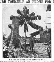 An illustration from Scientific American, Vol. 85, No. 21 (1901) (1901)