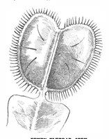 Picture 6 of 23 from Scientific American, Vol. 86, No. 25 (1902) (1902), leaf 4