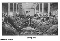 Picture 9 of 23 from Scientific American, Vol. 86, No. 26 (1902) (1902), leaf 7
