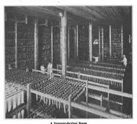 Picture 12 of 23 from Scientific American, Vol. 86, No. 26 (1902) (1902), leaf 8