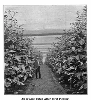 Picture 7 of 23 from Scientific American, Vol. 87, No. 10 (1902) (1902), leaf 7