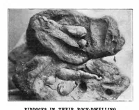 Picture 14 of 19 from Scientific American, Vol. 87, No. 11 (1902) (1902), leaf 10