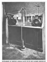 Picture 12 of 21 from Scientific American, Vol. 87, No. 13 (1902) (1902), leaf 8