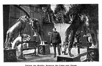 Picture 9 of 21 from Scientific American, Vol. 87, No. 16 (1902) (1902), leaf 9