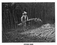 Picture 1 of 23 from Scientific American, Vol. 87, No. 22 (1902) (1902), leaf 3