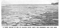 Picture 6 of 22 from Scientific American, Vol. 87, No. 23 (1902) (1902), leaf 4