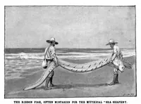 Picture 11 of 22 from Scientific American, Vol. 89, No. 6 (August 8, 1903) (1903), leaf 8