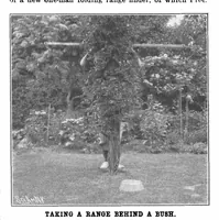 Picture 6 of 26 from Scientific American, Vol. 88, No. 2 (1903) (1903), leaf 4