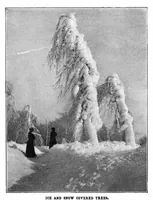 Picture 6 of 26 from Scientific American, Vol. 88, No. 6 (1903) (1903), leaf 4