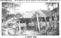 Picture 17 of 23 from Scientific American, Vol. 88, No. 7 (1903) (1903), leaf 13