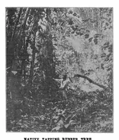 An illustration from Scientific American, Vol. 88, No. 7 (1903) (1903)