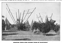 Picture 12 of 21 from Scientific American, Vol. 88, No. 8 (1903) (1903), leaf 10