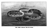 Picture 7 of 21 from Scientific American, Vol. 88, No. 8 (1903) (1903), leaf 8