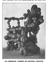 Picture 13 of 23 from Scientific American, Vol. 88, No. 11 (1903) (1903), leaf 10