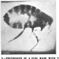 Picture 8 of 19 from Scientific American, Vol. 88, No. 14 (1903) (1903), leaf 8