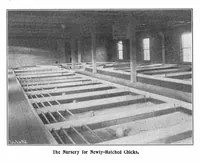 Picture 11 of 25 from Scientific American, Vol. 88, No. 23 (1903) (1903), leaf 8