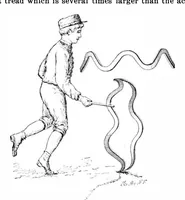Picture 16 of 25 from Scientific American, Vol. 88, No. 24 (1903) (1903), leaf 11