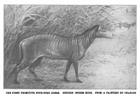 An illustration from Scientific American, Vol. 88, No. 24 (1903) (1903)