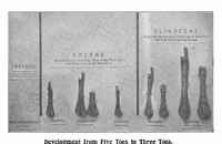 Picture 10 of 25 from Scientific American, Vol. 88, No. 24 (1903) (1903), leaf 8