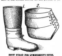 Picture 3 of 12 from Scientific American, Vol. 89, No. 4 (1903) (1903), leaf 9