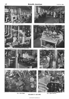 Picture 10 of 21 from Scientific American, Vol. 89, No. 8 (1903) (1903), leaf 7