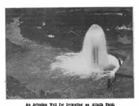 Picture 14 of 21 from Scientific American, Vol. 89, No. 8 (1903) (1903), leaf 9