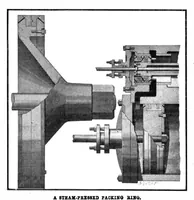 Picture 5 of 9 from Scientific American, Vol. 89, No. 21 (1903) (1903), leaf 10