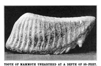 Picture 3 of 14 from Scientific American, Vol. 90, No. 4 (1904) (1904), leaf 3