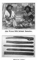 Picture 11 of 18 from Scientific American, Vol. 90, No. 6 (1904) (1904), leaf 8