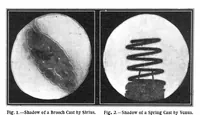 Picture 2 of 19 from Scientific American, Vol. 90, No. 8 (1904) (1904), leaf 3